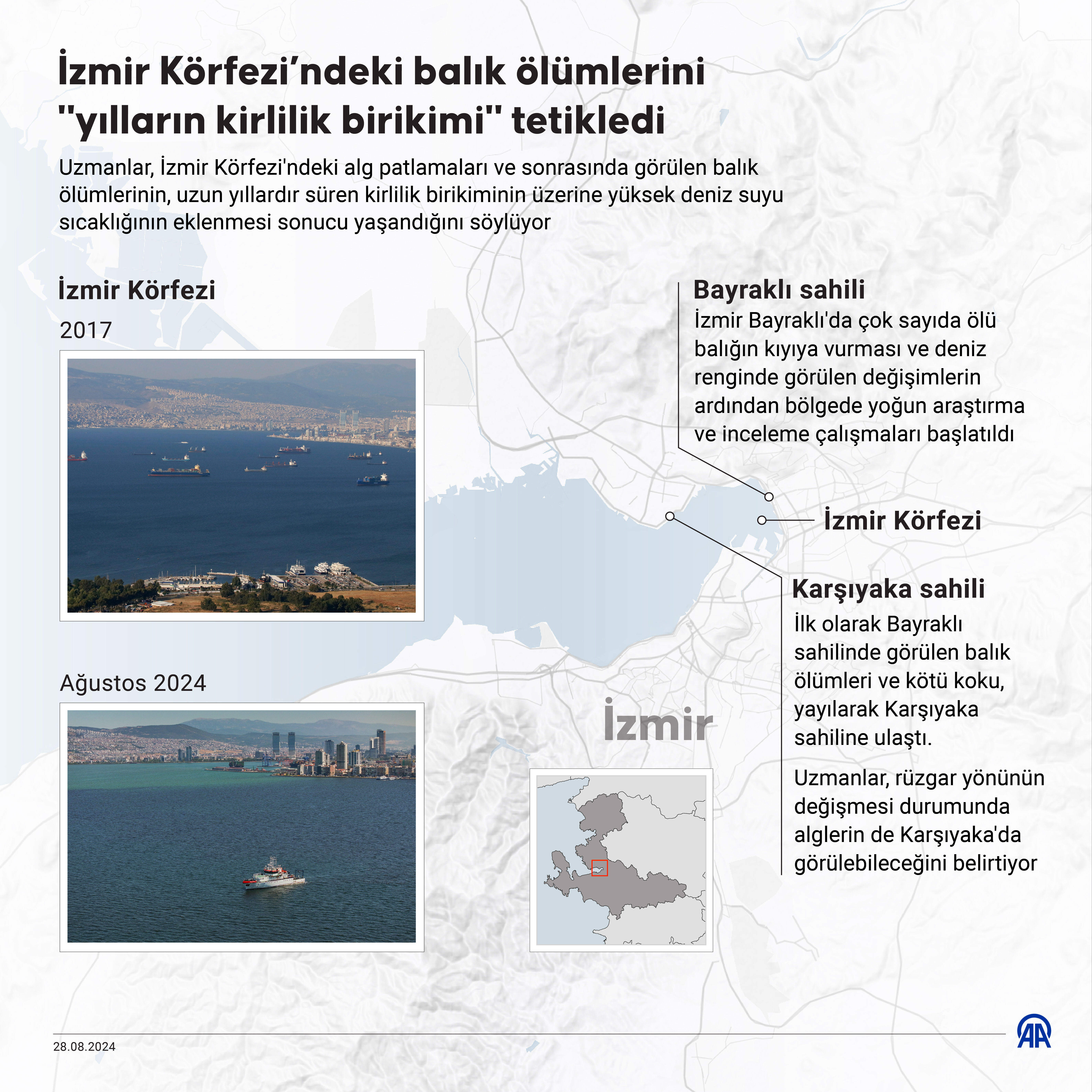 İzmir Körfezi'nde kirlilik had safhada: En çok dip balıklarını öldürüyor - 4. Resim
