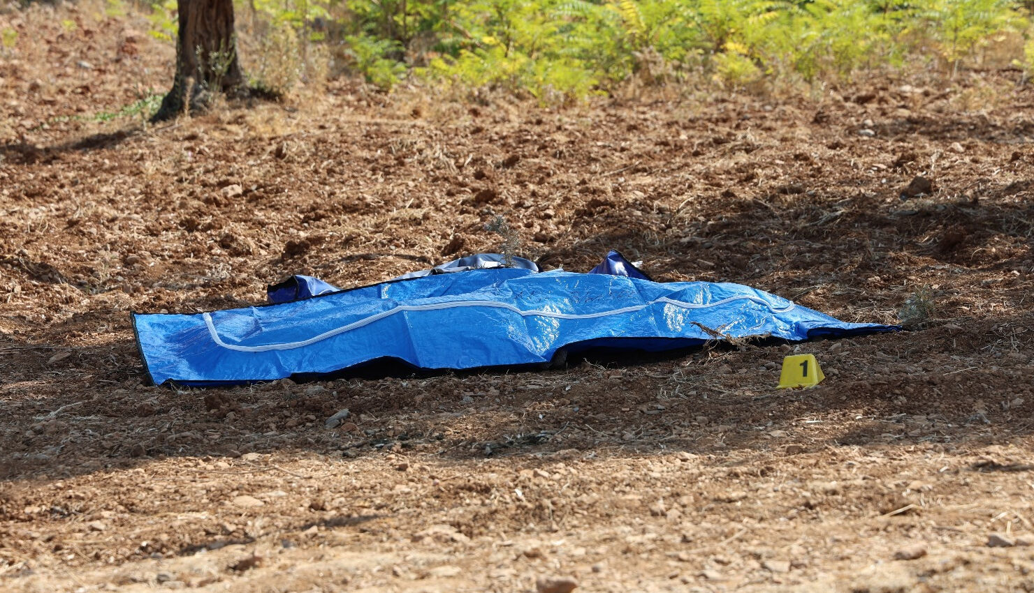 İzmir'de babaları tarafından öldürülen 3 çocuk defnedildi! Annenin feryadı yürek yaktı - 6. Resim