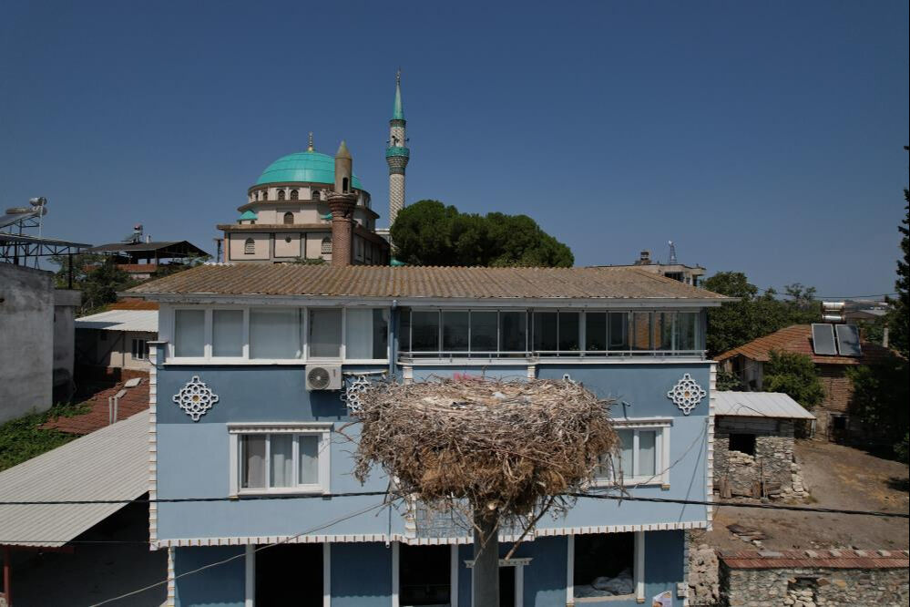 'Yaren' leylek ile Adem amca ayrıldı 'Yaren' leylek ile Adem amca ayrıldı - 1. Resim