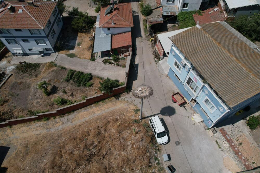 'Yaren' leylek ile Adem amca ayrıldı 'Yaren' leylek ile Adem amca ayrıldı - 6. Resim