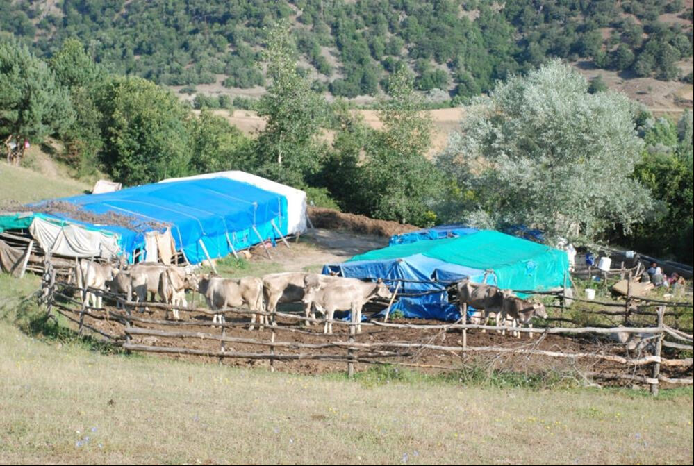 Yıllar önce Tokat'ta kaybolan Dursun Kağan Taşçı ile Evrim Atış yeniden gündem oldu - 1. Resim