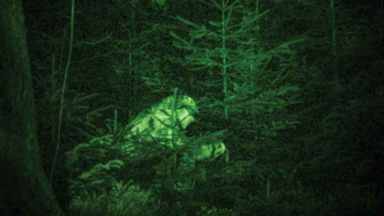 Kurt sürüsü 9 kişiyi öldürdü Kurt sürüsü 9 kişiyi öldürdü - 2. Resim