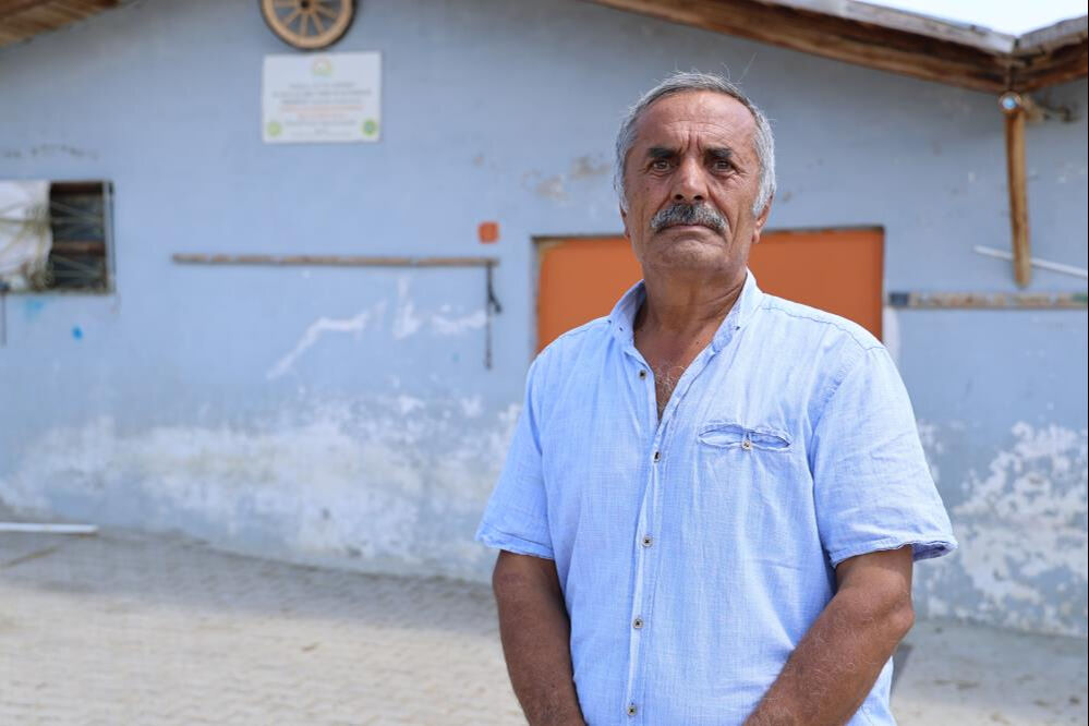 Çoban krizi arşa çıktı! Sivas'ta Türk çoban bulunamıyor - 1. Resim