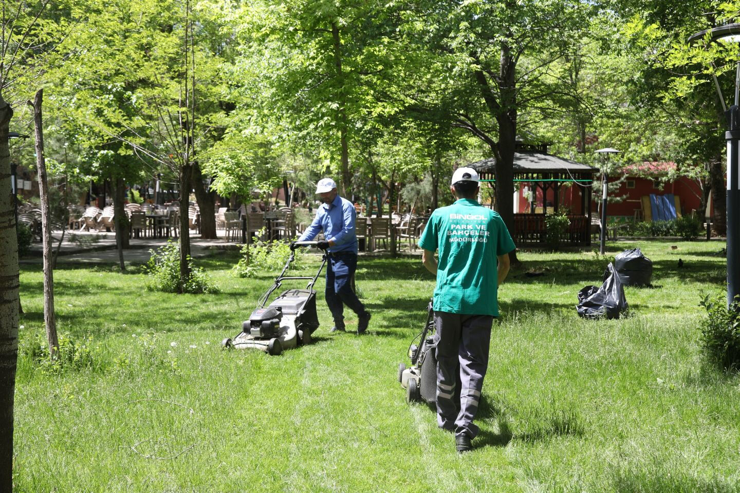 Kamuda haftanın 3 günü çalışacak elaman aranıyor! Maaş belli oldu, işte aranan şartlar... Kamuda haftanın 3 günü çalışacak elaman aranıyor! Maaş belli oldu, işte aranan şartlar... - 5. Resim