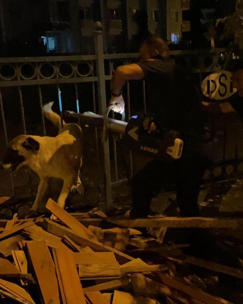 Hatay'da parmaklıklara sıkışan köpeği itfaiye kurtardı Hatay'da parmaklıklara sıkışan köpeği itfaiye kurtardı - 1. Resim