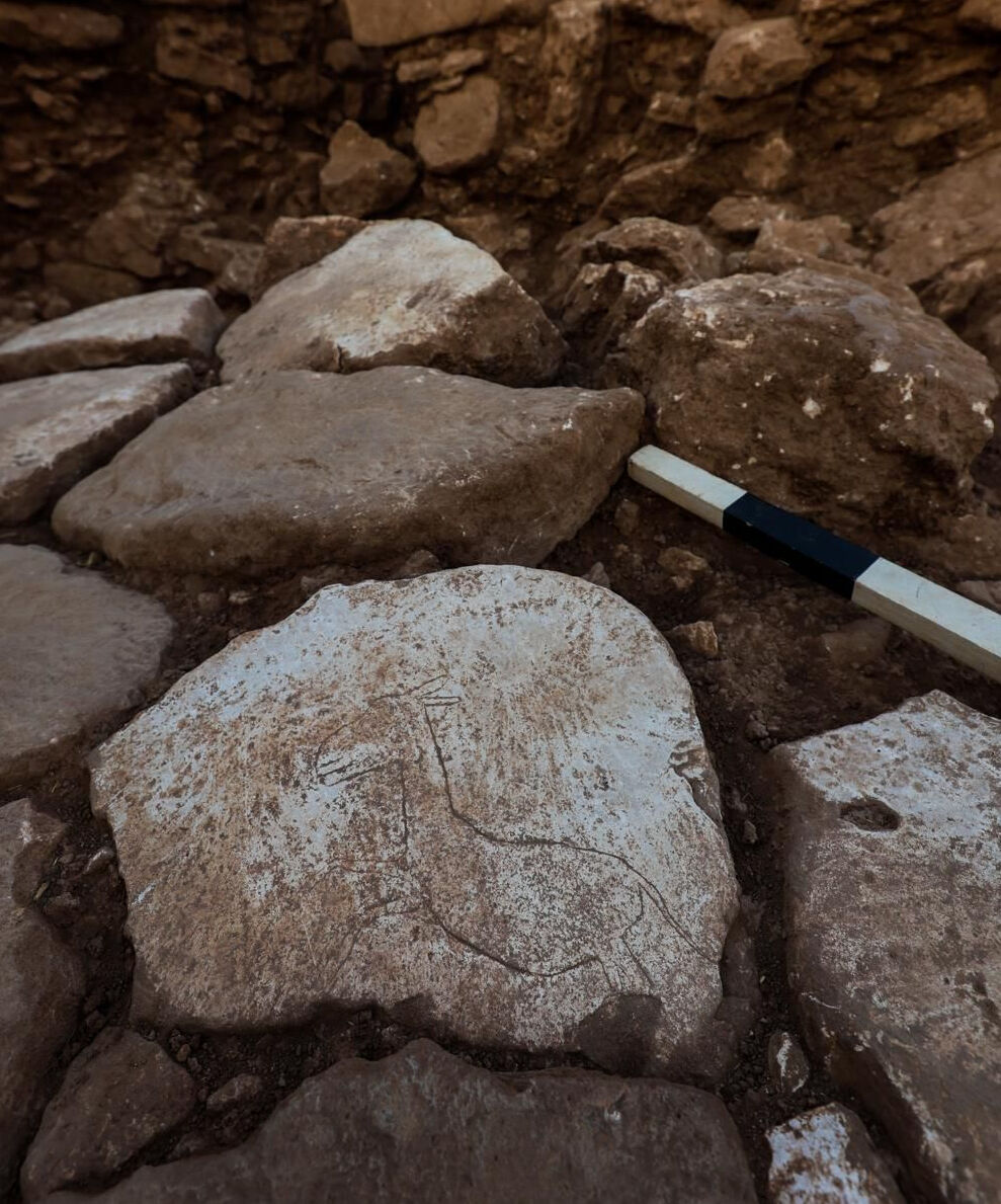 Şanlıurfa Karahantepe'de bulundu! 