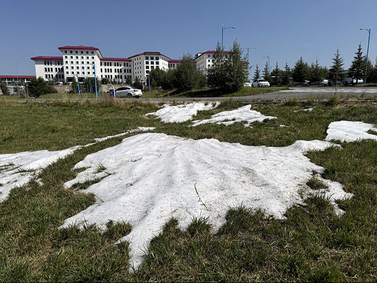 Ardahan'da gece etkili olan dolu, güneşe rağmen erimedi! Adeta kar yağmış gibi olan görüntü şaşırttı Ardahan'da gece etkili olan dolu, güneşe rağmen erimedi! Adeta kar yağmış gibi olan görüntü şaşırttı - 1. Resim