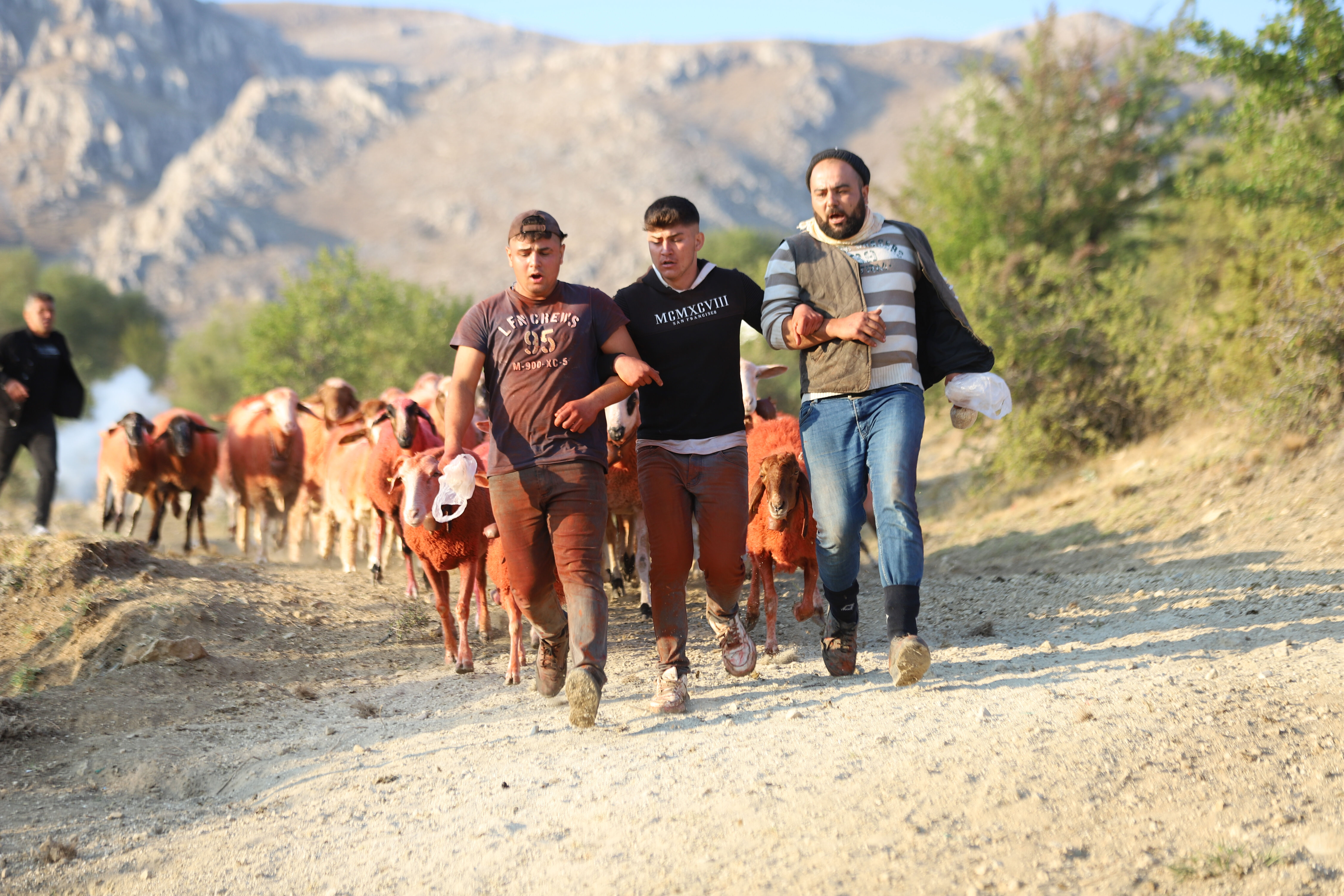 Burdur'da 757 yıllık gelenek devam etti: Kök boyalı koyunlar çobanların arkasından suya atladı - 7. Resim