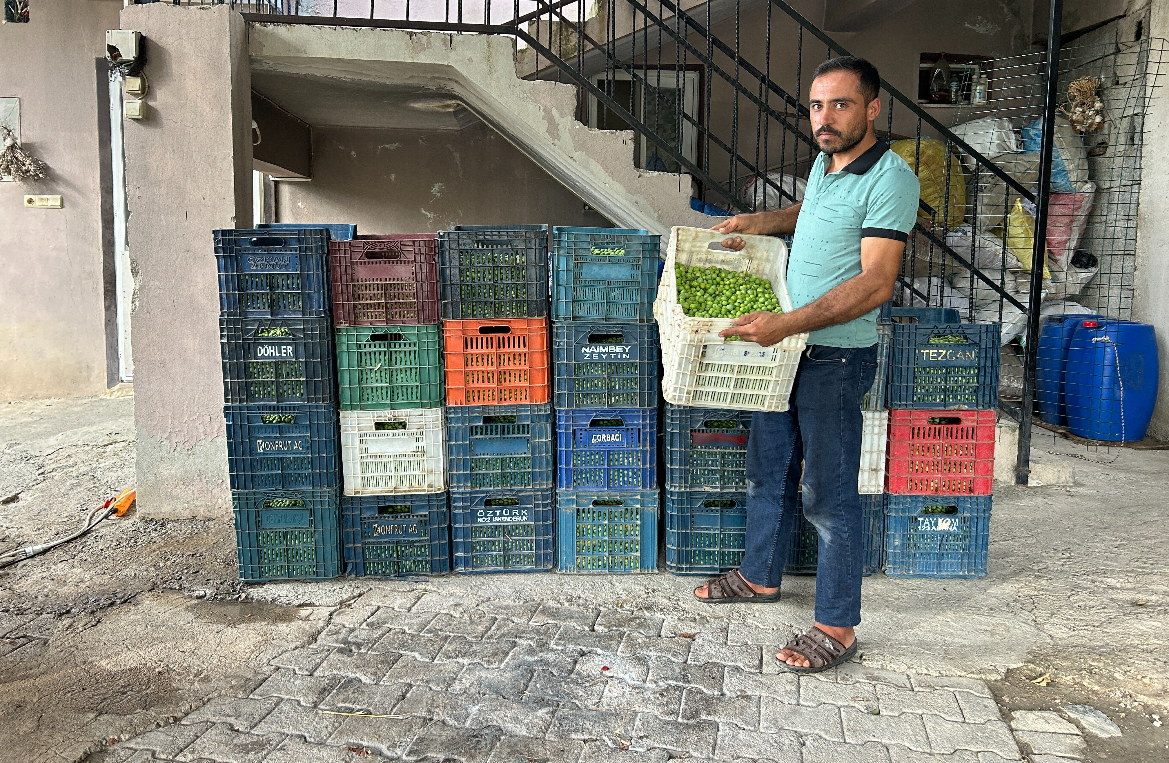 Günlük yevmiye bin TL! Hasat yüz güldürüyor, kilosu 70 liradan alıcı buluyor - 2. Resim