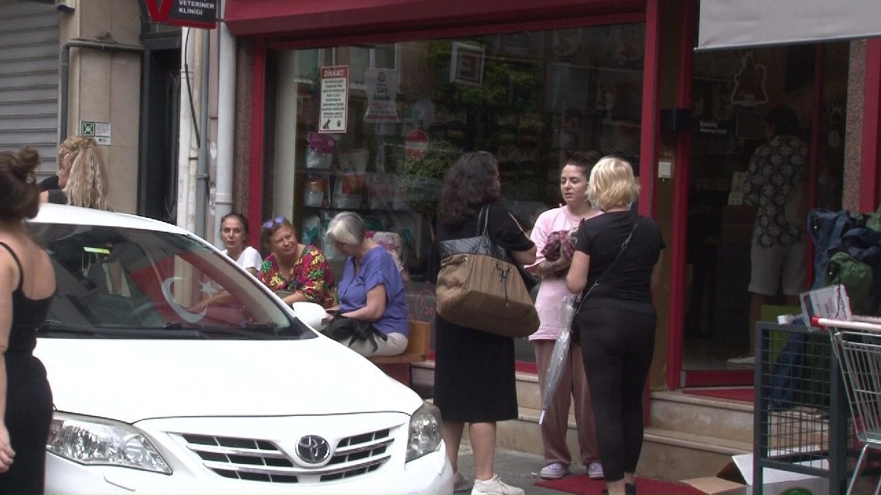 Kadıköy'de organize hayvan katliamı! Kedi ve köpekleri zehirlediler - 1. Resim