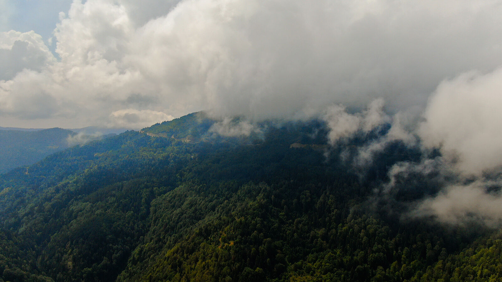 Kastamonu Yaralıgöz Dağı'nda sisin ormanla buluşması görenleri hayran bıraktı - 2. Resim