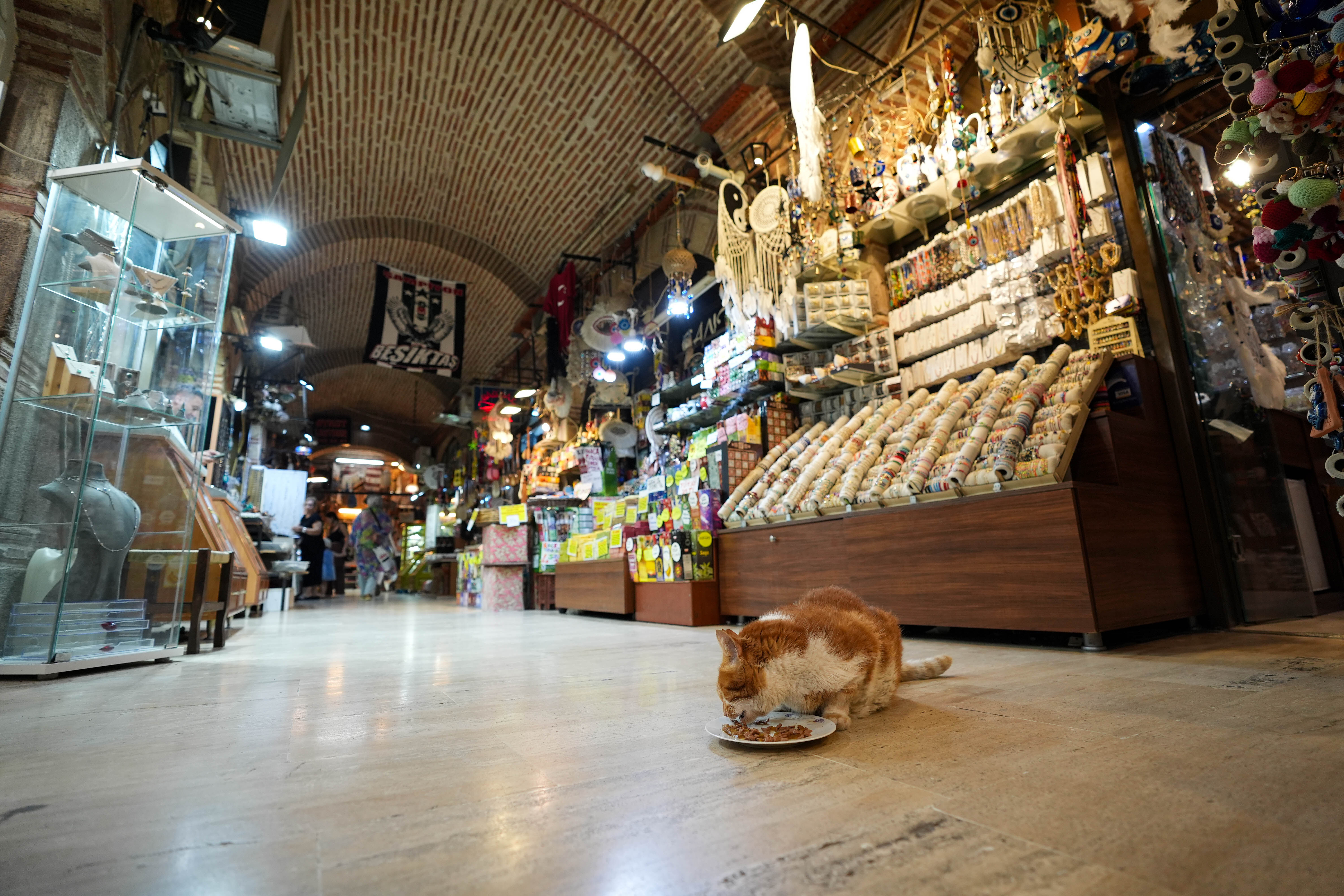 Kızlarağası'nın Garfield'a benzeyen kedisi Tarçın, 17 yıldır tarihi hanı mesken tutuyor - 2. Resim