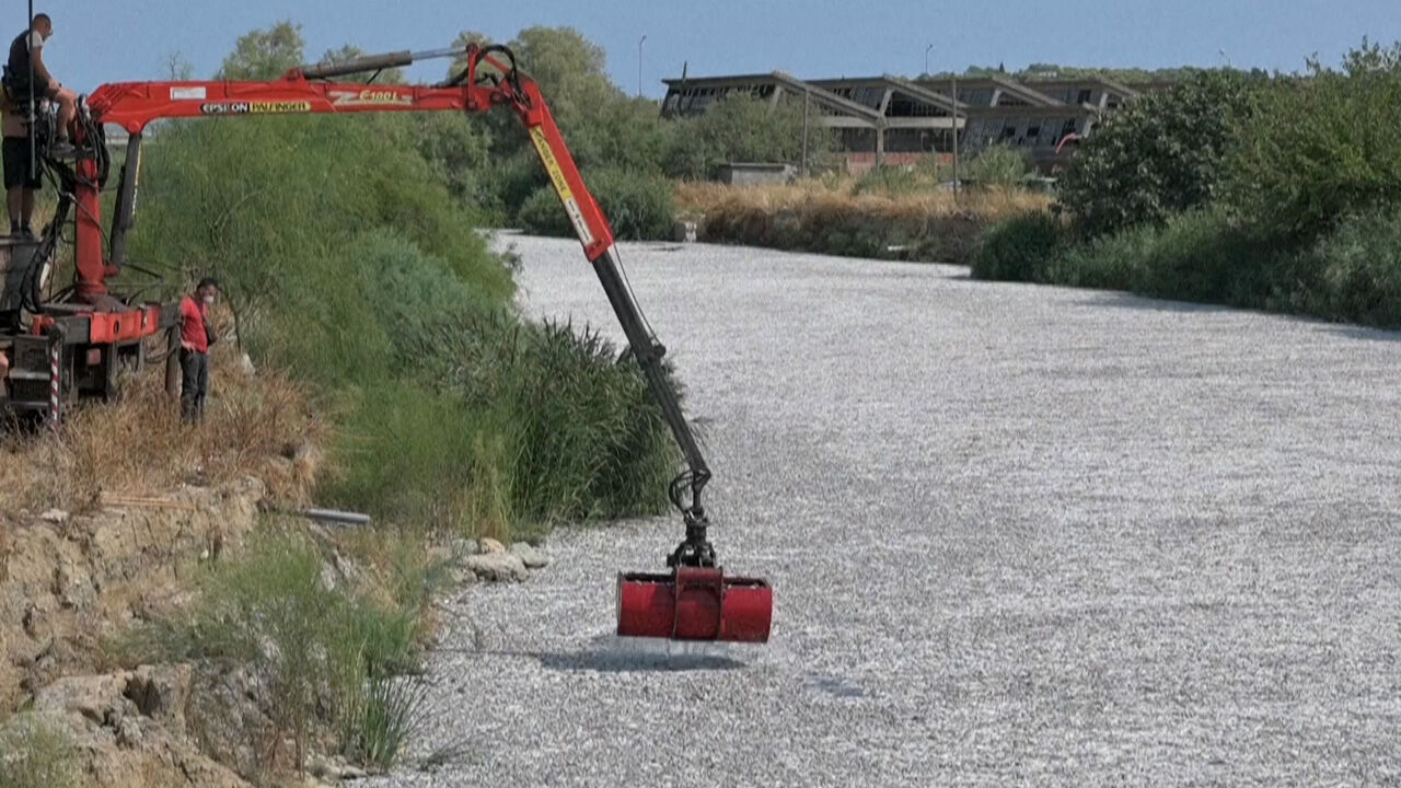 Kötü koku ünlü tatil bölgesine yayıldı! Yunanistan'ın 'ölü balık' kâbusu sürüyor - 3. Resim