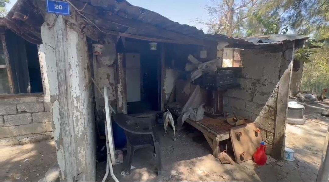 Ünlü sanatçı Gül Avalan zor günler geçiriyor! Önce arazisini kaybetti, sonra deprem mağduru oldu Ünlü sanatçı Gül Avalan zor günler geçiriyor! Önce arazisini kaybetti, sonra deprem mağduru oldu - 2. Resim