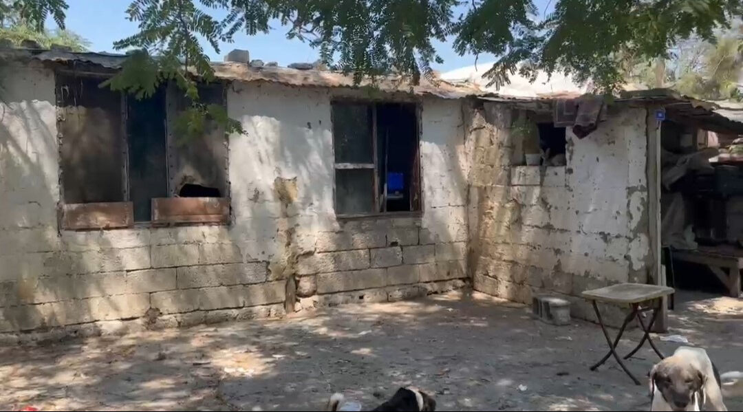 Ünlü sanatçı Gül Avalan zor günler geçiriyor! Önce arazisini kaybetti, sonra deprem mağduru oldu Ünlü sanatçı Gül Avalan zor günler geçiriyor! Önce arazisini kaybetti, sonra deprem mağduru oldu - 4. Resim