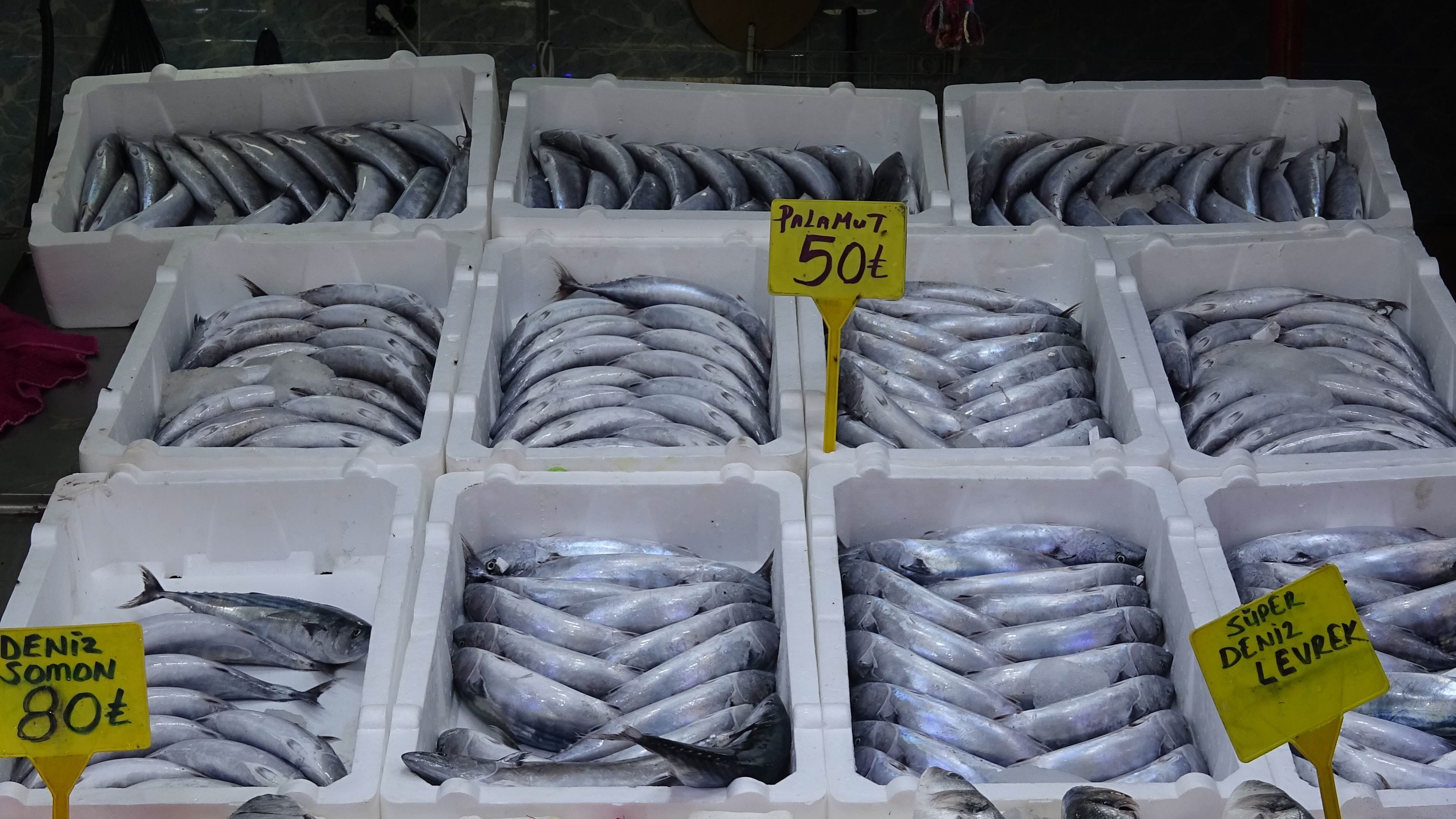 Bolluk etiketlere de yansıdı! Palamut fiyatı nedeniyle kapış kapış satılıyor - 3. Resim