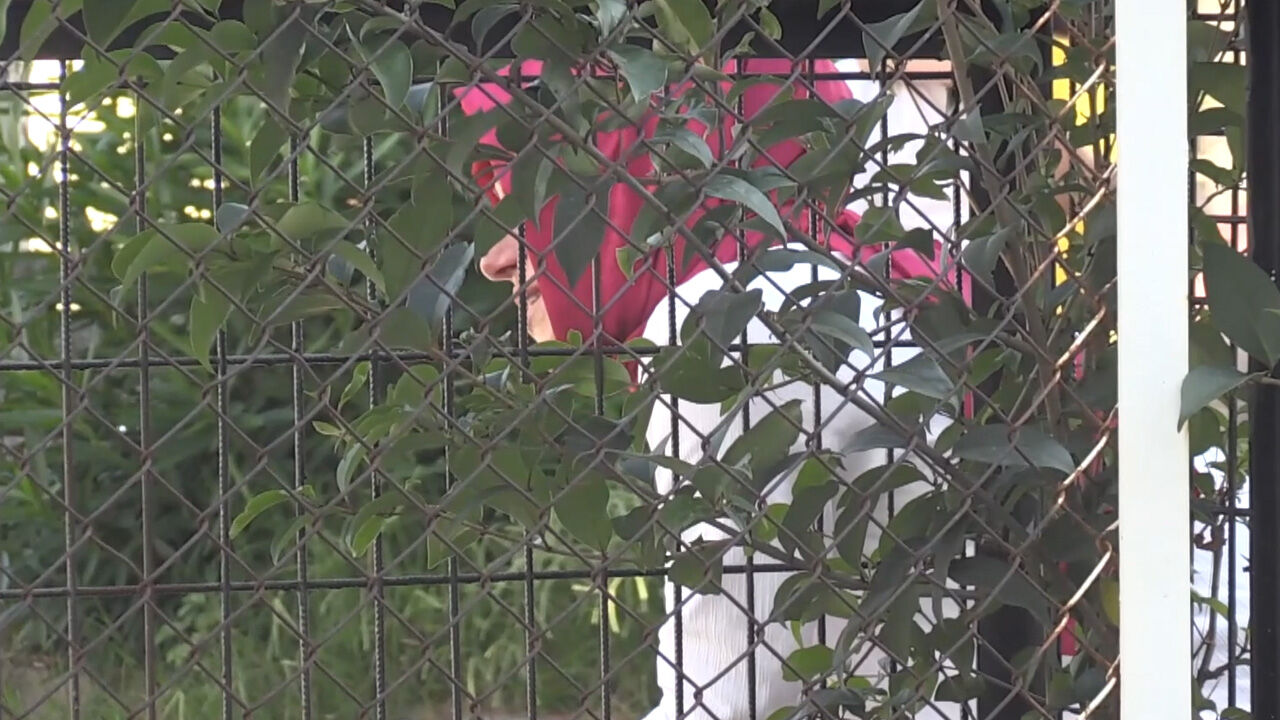 Ordu'da okulun ilk gününde yürek yakan olay! Öğretmenin aracıyla çarptığı öğrenci Miray Arslan öldü - 1. Resim