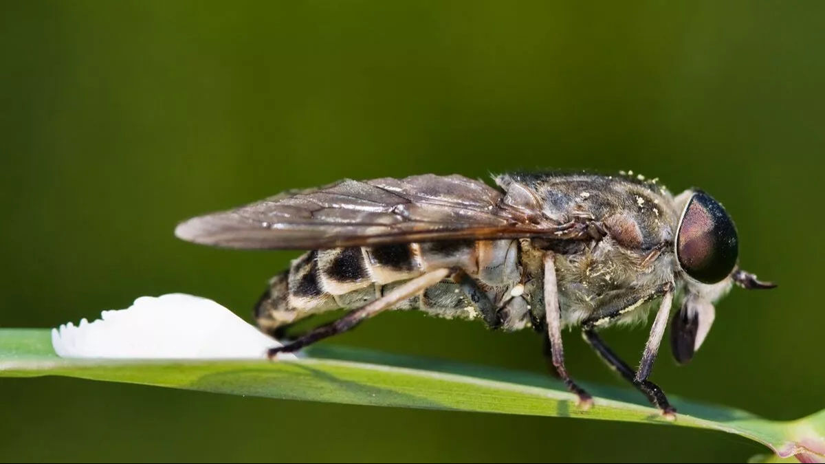 Pikniğe giden kadın hayatının şokunu yaşadı! Ameliyat oldu, günlerce hastanede yattı Pikniğe giden kadın hayatının şokunu yaşadı! Ameliyat oldu, günlerce hastanede yattı - 5. Resim