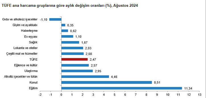 Ağustos ayı rakamları açıklandı! Enflasyonda büyük düşüş - 2. Resim