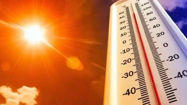 Japonya'da aşırı sıcaklar yüzünden 248 kişi hayatını kaybetti - 1. Resim