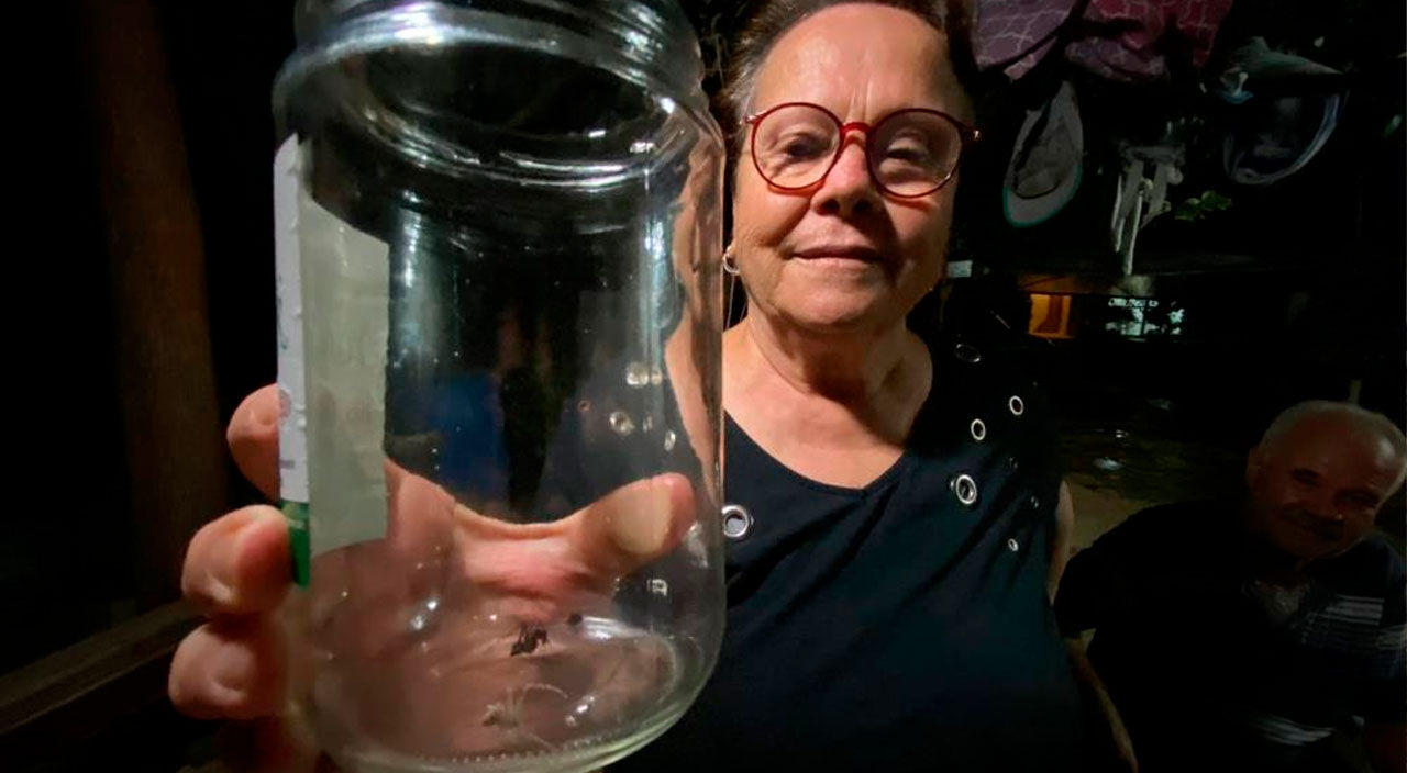 Antalya'da ortaya çıktı görünce şoke oldu: İnsan yüzlü örümceği sahiplendi karınca ile besliyor - 2. Resim