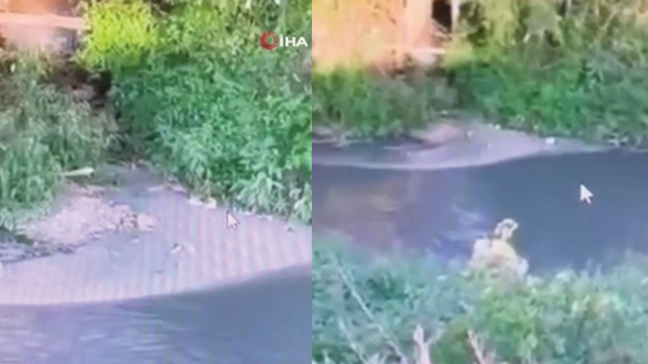 Bolu'da çevre kirliliğini sürdüren Beypiliç'e 4. kez ceza kesildi - 3. Resim