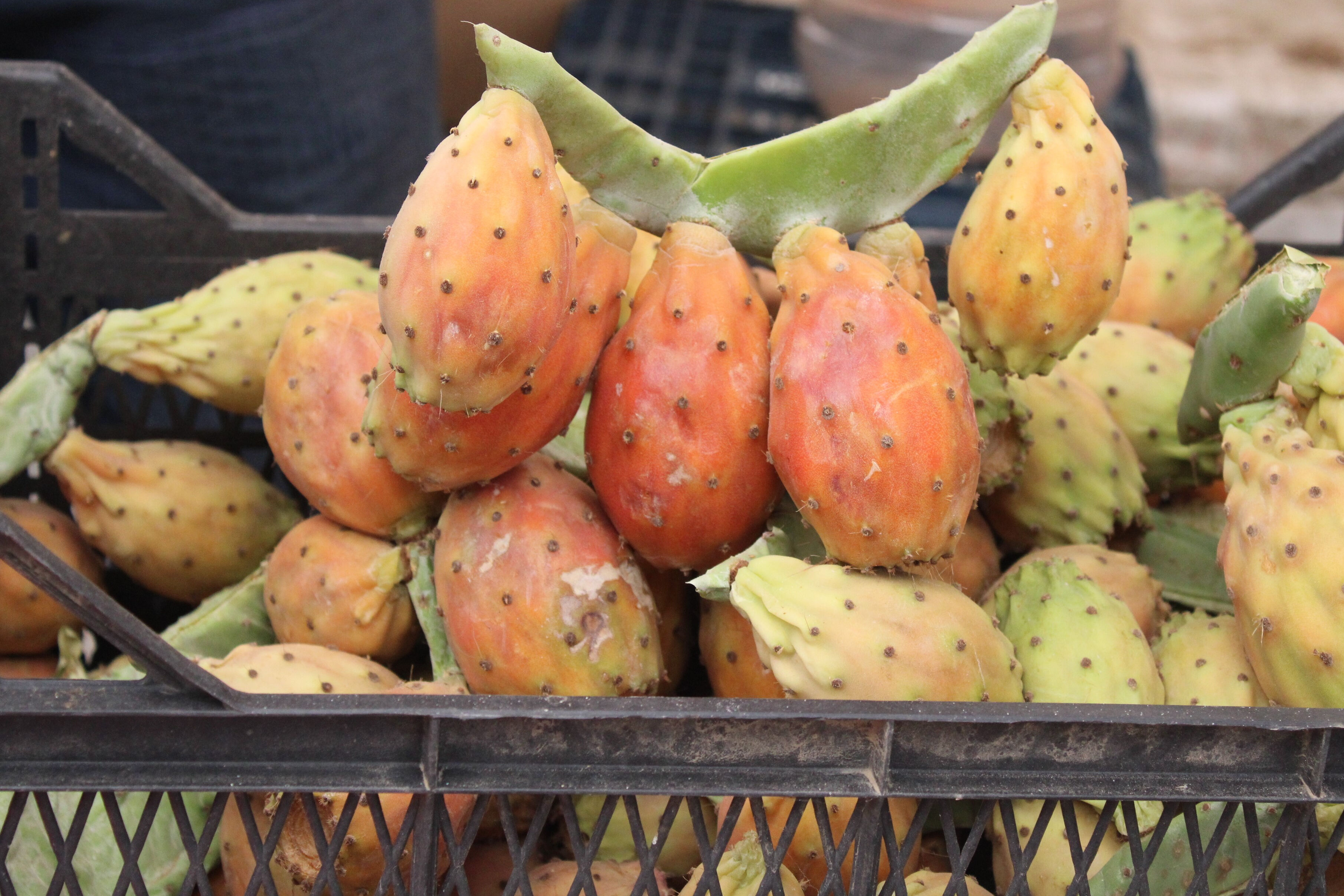 Kaynana dili, kaktüs inciri, frenk yemişi: Aydın'da yetişen meyve pazarda ilgi odağı oldu - 2. Resim