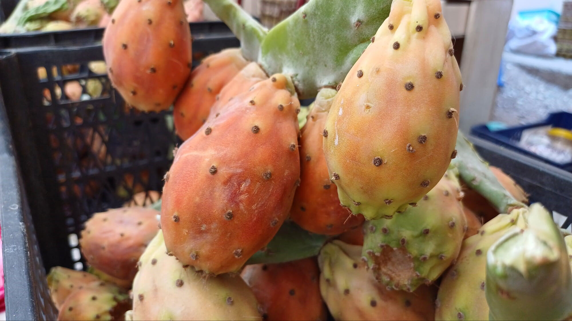 Kaynana dili, kaktüs inciri, frenk yemişi: Aydın'da yetişen meyve pazarda ilgi odağı oldu - 1. Resim