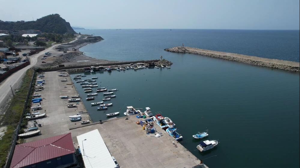 Palamut akın etti! 4 günde 100 ton yakaladılar - 2. Resim