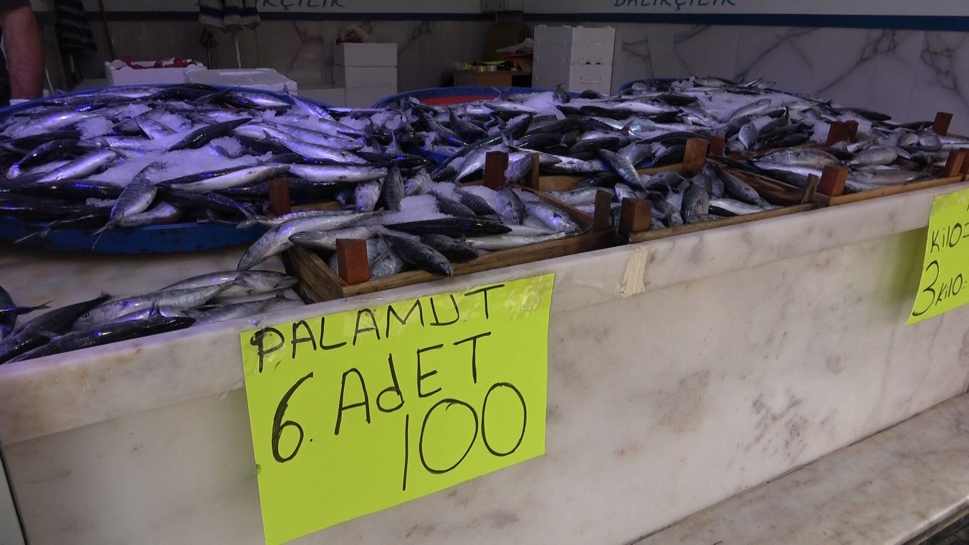 Palamut bolluğu etiketleri değiştirdi! Fiyatlar yarı yarıya düştü - 1. Resim