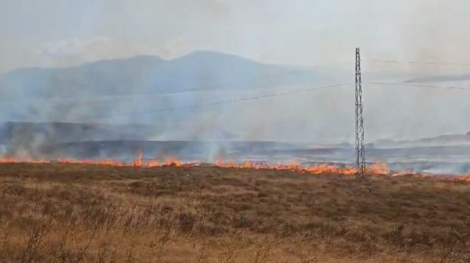 Paşalimanı Adası'nda yangın! Ekiplerin müdahalesi sürüyor - 1. Resim