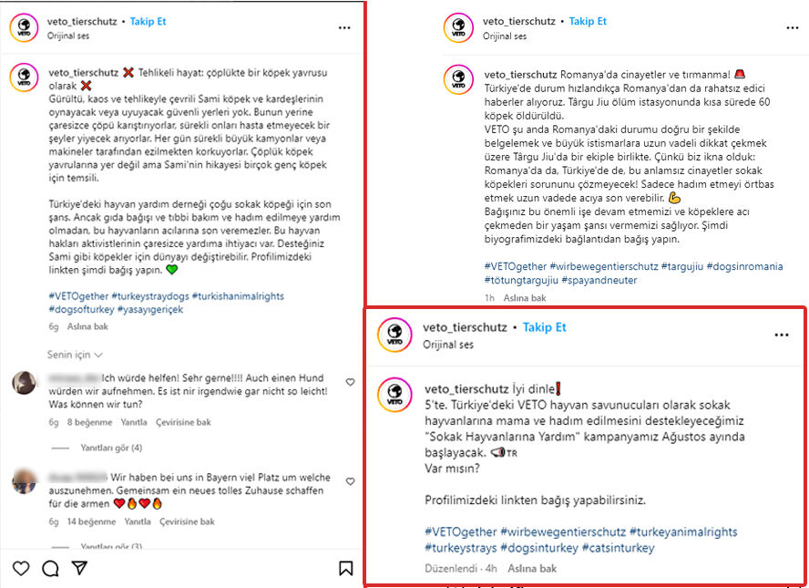 Almanya'dan Türkiye'ye şaibeli bağış: Ankara'ya gönderilen 1 tır köpek maması nerede? - 5. Resim