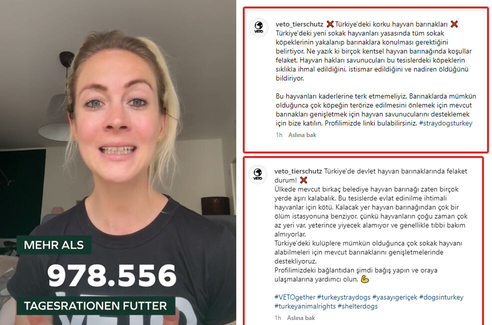 Almanya'dan Türkiye'ye şaibeli bağış: Ankara'ya gönderilen 1 tır köpek maması nerede? - 6. Resim