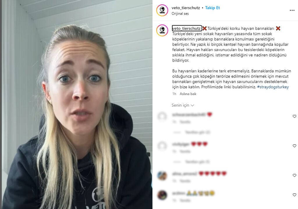 Almanya'dan Türkiye'ye sokak köpeği bağış ağı: Ankara'ya gönderilen 1 tır köpek maması nerede? - 4. Resim