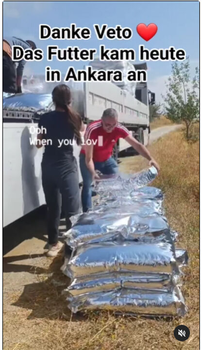 Almanya'dan Türkiye'ye sokak köpeği bağış ağı: Ankara'ya gönderilen 1 tır köpek maması nerede? - 2. Resim