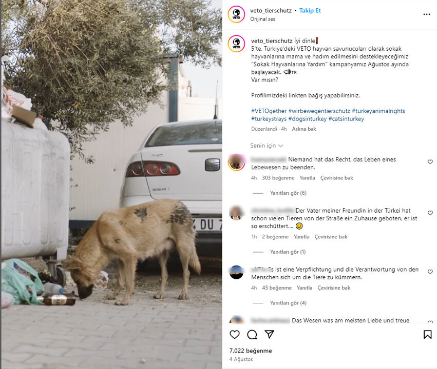 Almanya'dan Türkiye'ye sokak köpeği bağış ağı: Ankara'ya gönderilen 1 tır köpek maması nerede? - 1. Resim