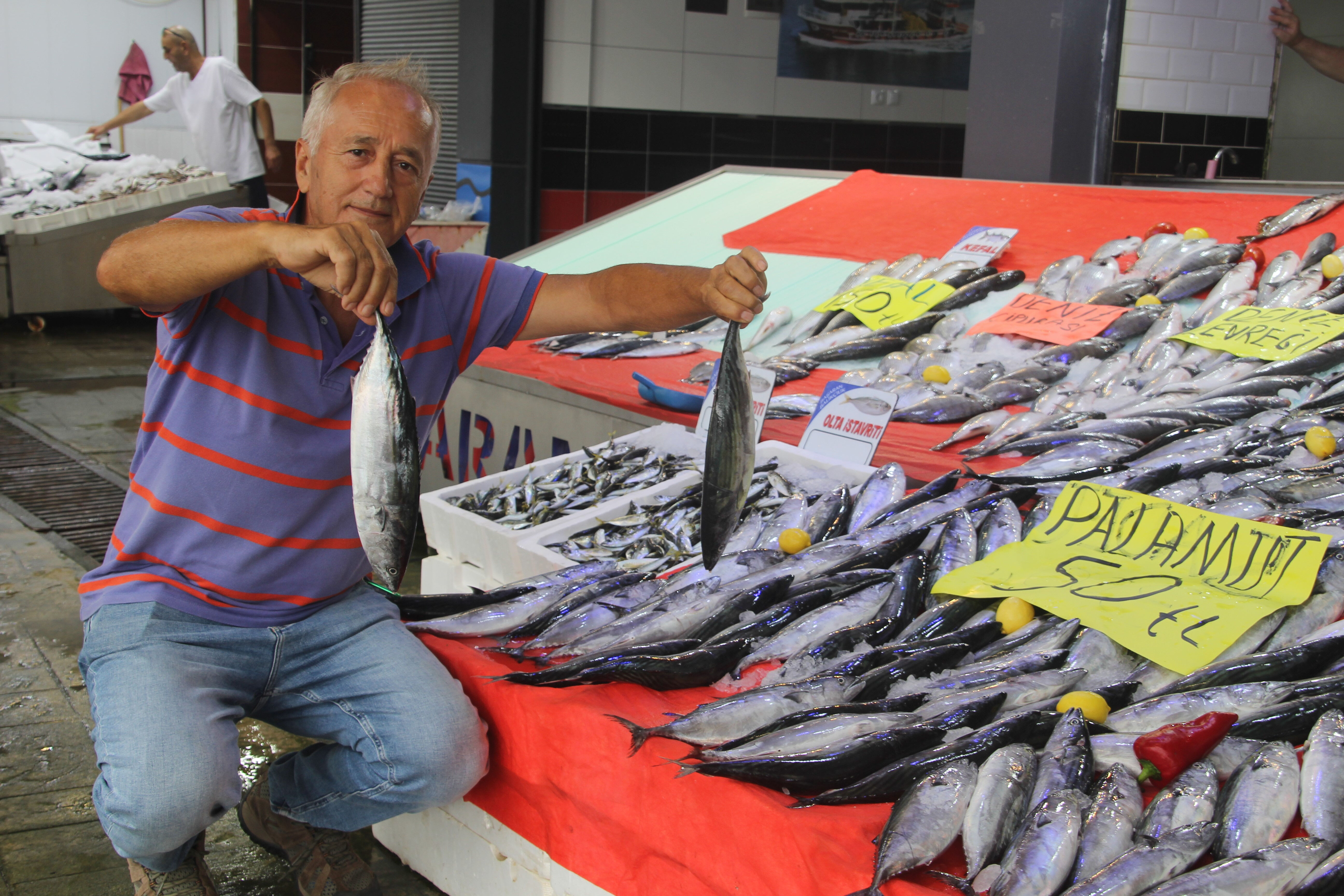 Denizden resmen fışkırıyor! Palamutun fiyatı sudan ucuz - 1. Resim