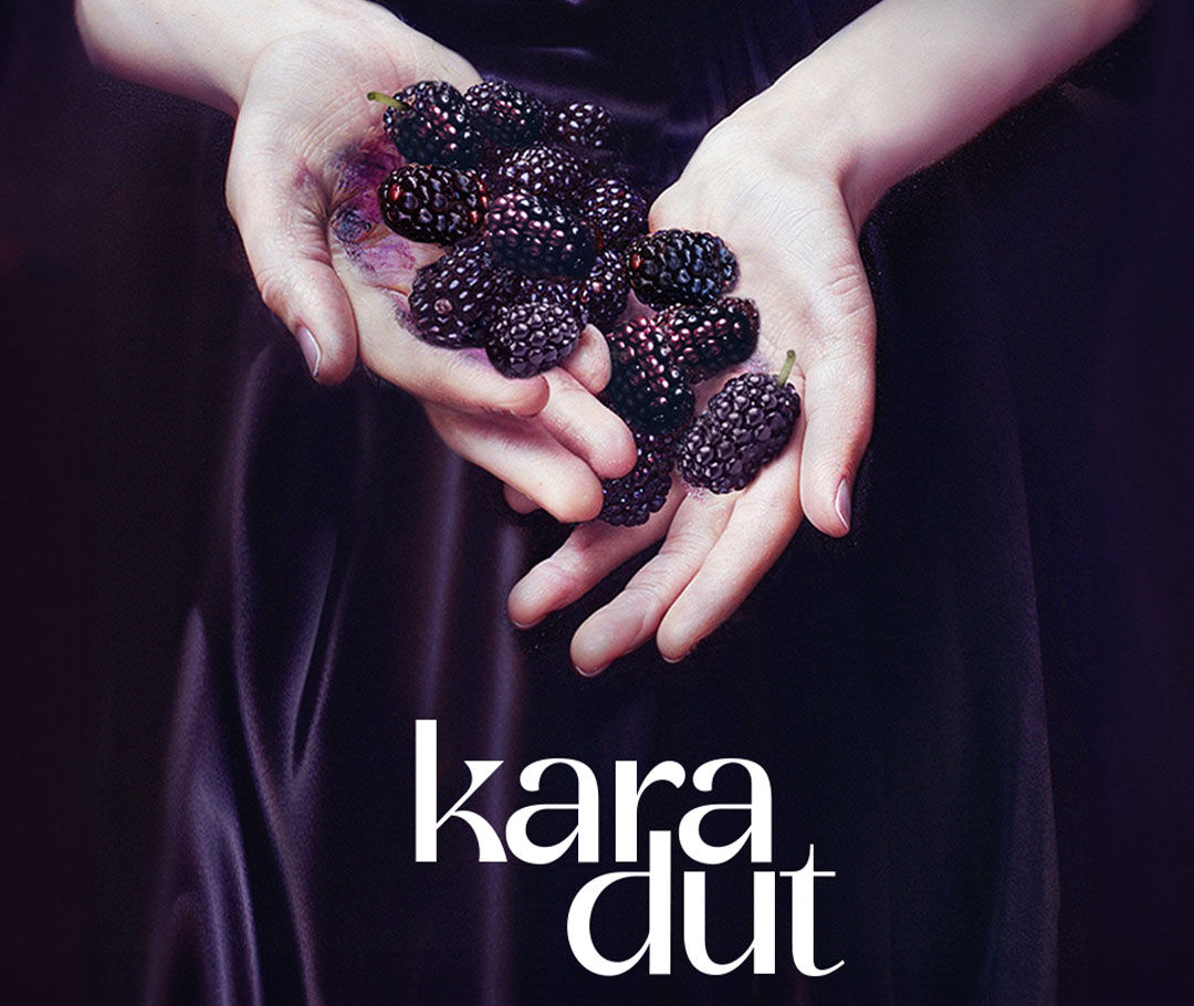 İrem Helvacıoğlu ve Şükrü Özyıldız'lı 'Karadut' dizisinden afiş! Görenler ikiliyi çok yakıştırdı - 1. Resim