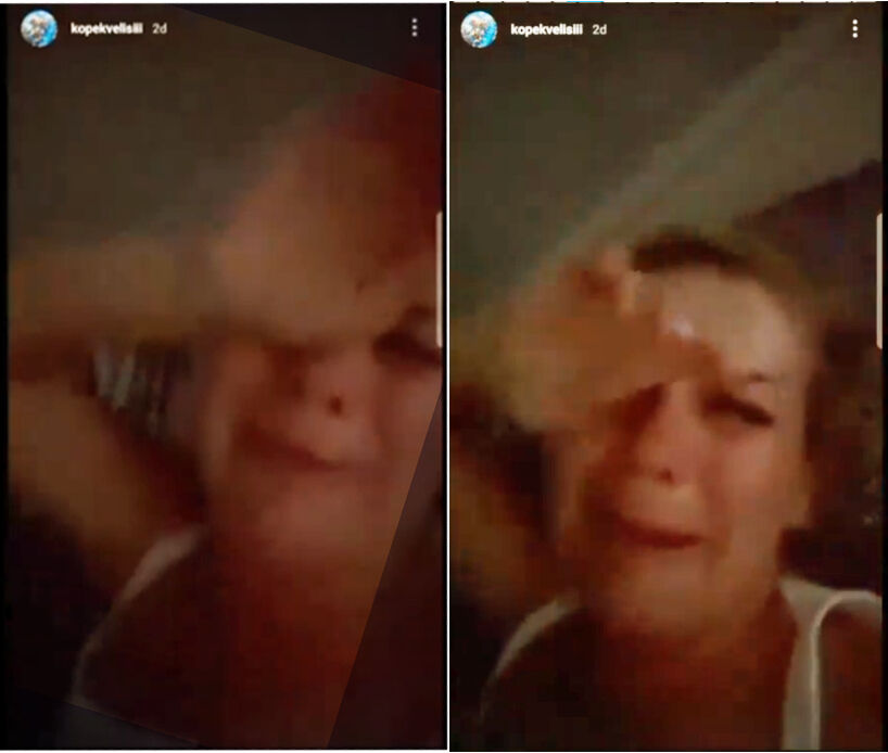 Köpek bağışlarıyla at yarışı oynayan Buket Özgünlü hüngür hüngür ağladı - 1. Resim