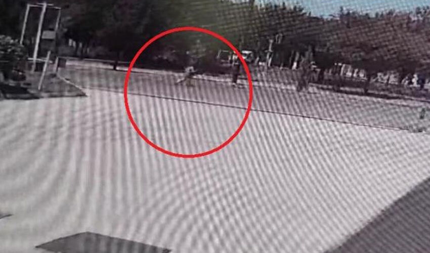 Kazada yaralanmıştı! Mizgin’den 24 gün sonra acı haber - 2. Resim