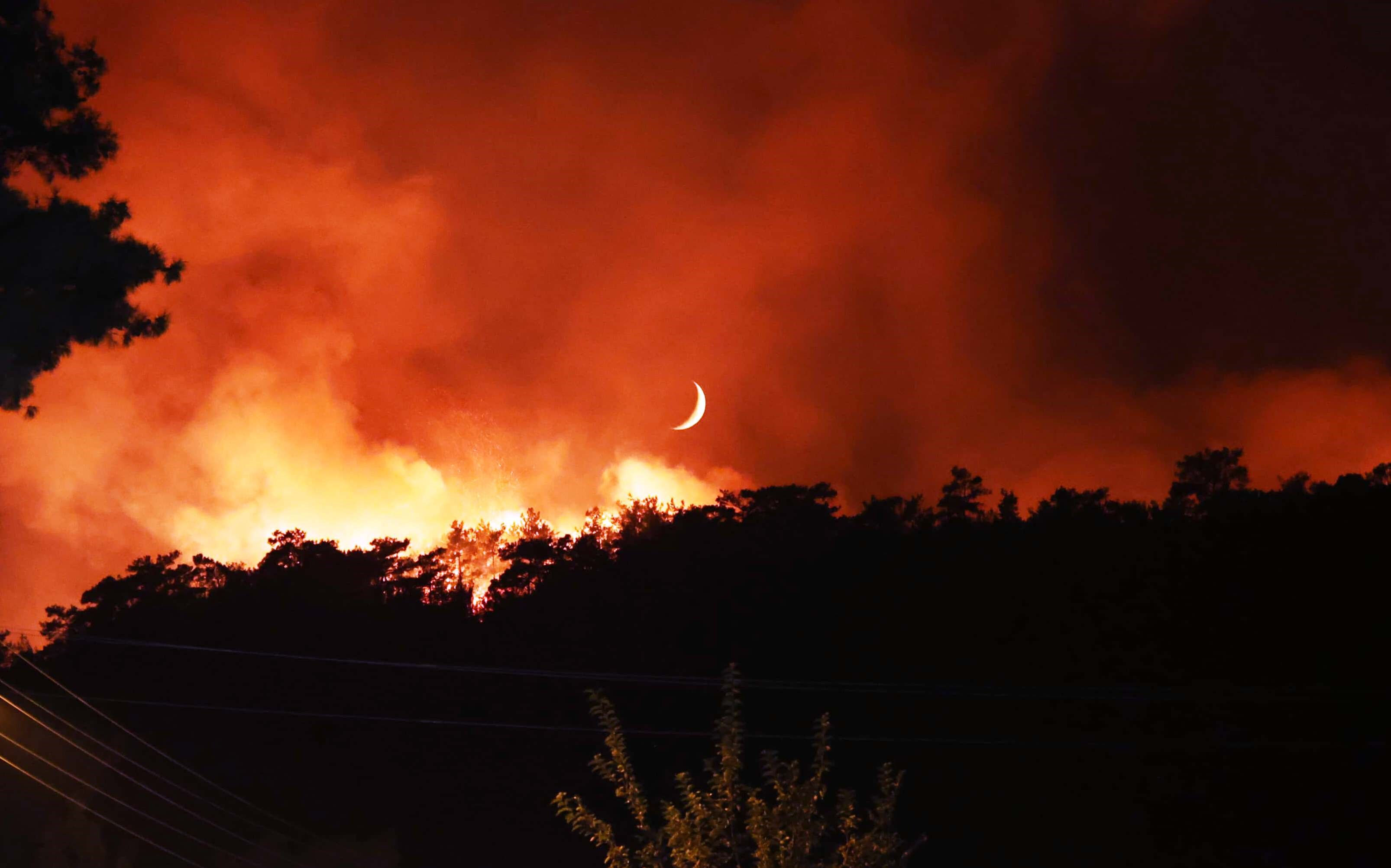 Muğla Menteşe yangınında 20'nci saat! Müdahale gece boyunca sürdü - 2. Resim