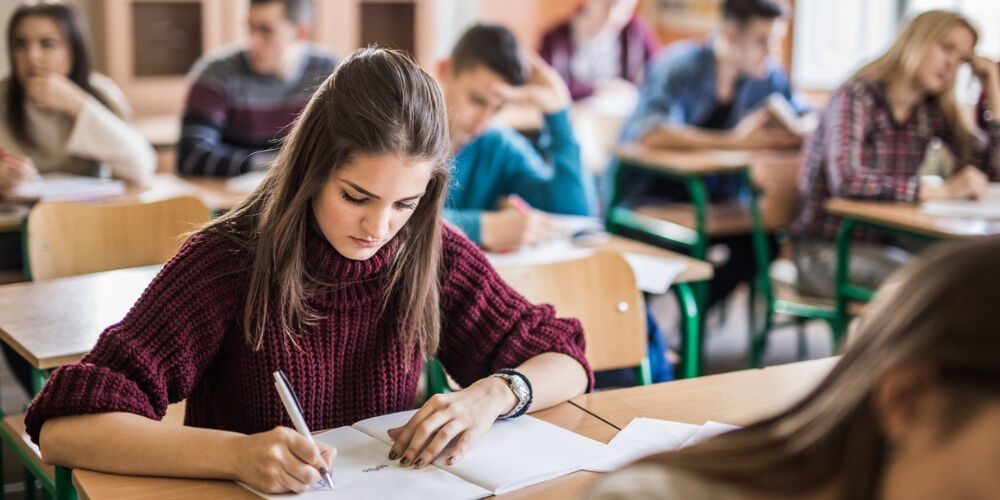 ALES/3 sınavı 17 Kasım 2024 tarihinde yapılacak - 1. Resim