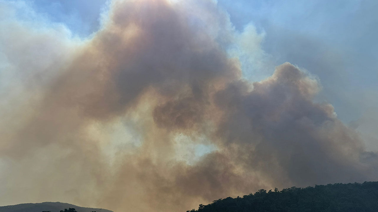 Muğla'da çıkan yanının nedeni belli oldu! Arı kovanları yine işin içinde - 2. Resim