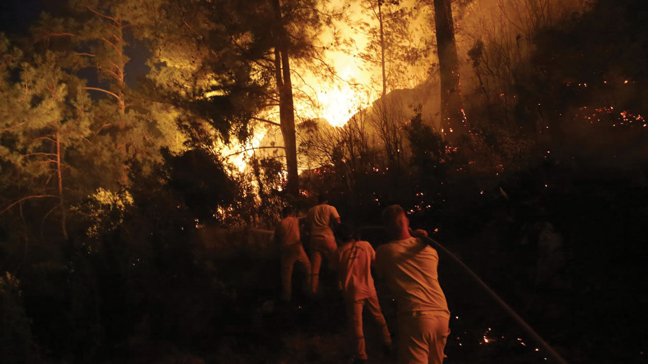 Muğla'da çıkan yanının nedeni belli oldu! Arı kovanları yine işin içinde - 3. Resim