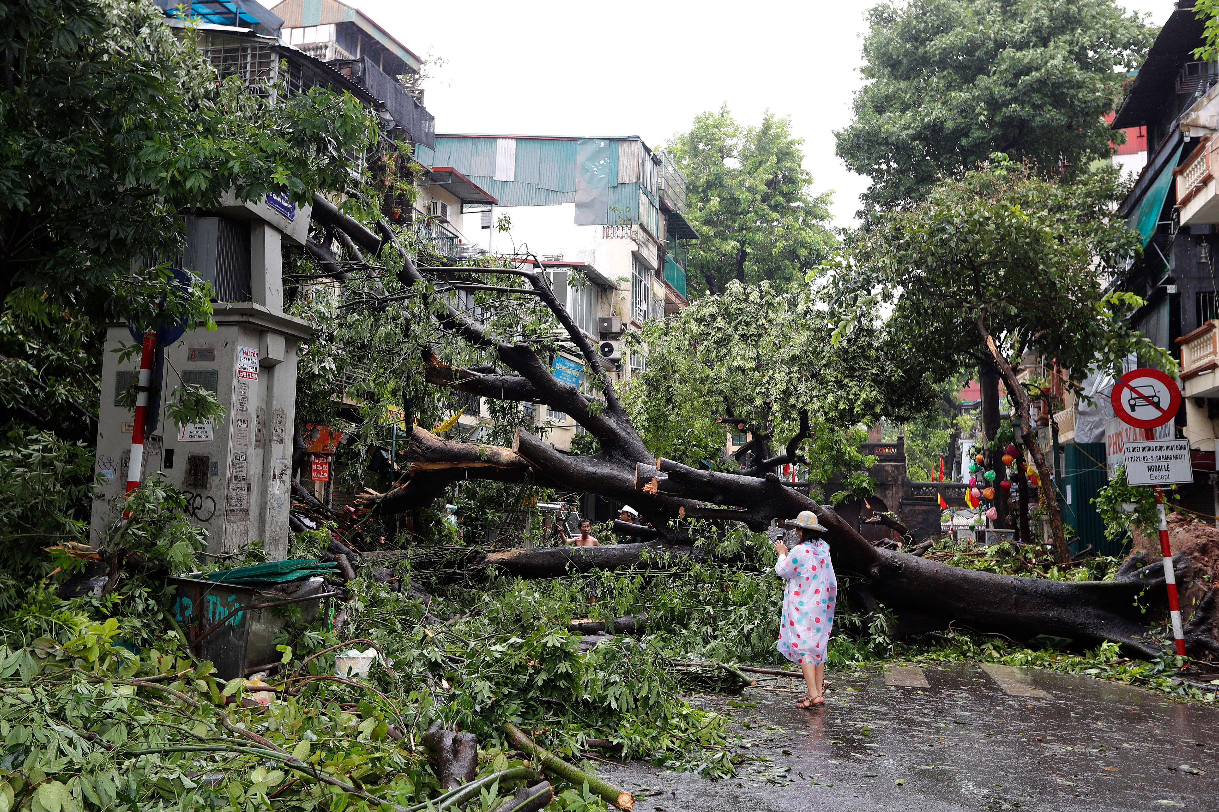 Vietnam'ı Yagi Tayfunu vurdu! 21 kişi öldü, 229 kişi yaralandı Vietnam'ı Yagi Tayfunu vurdu! 21 kişi öldü, 229 kişi yaralandı - 1. Resim