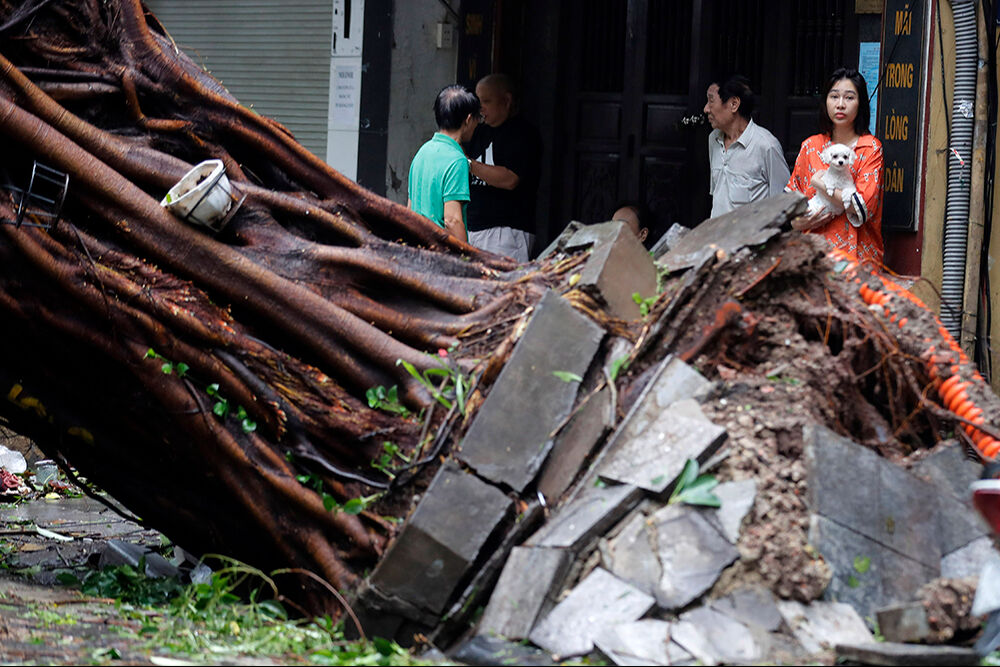 Vietnam'ı Yagi Tayfunu vurdu! 21 kişi öldü, 229 kişi yaralandı Vietnam'ı Yagi Tayfunu vurdu! 21 kişi öldü, 229 kişi yaralandı - 4. Resim