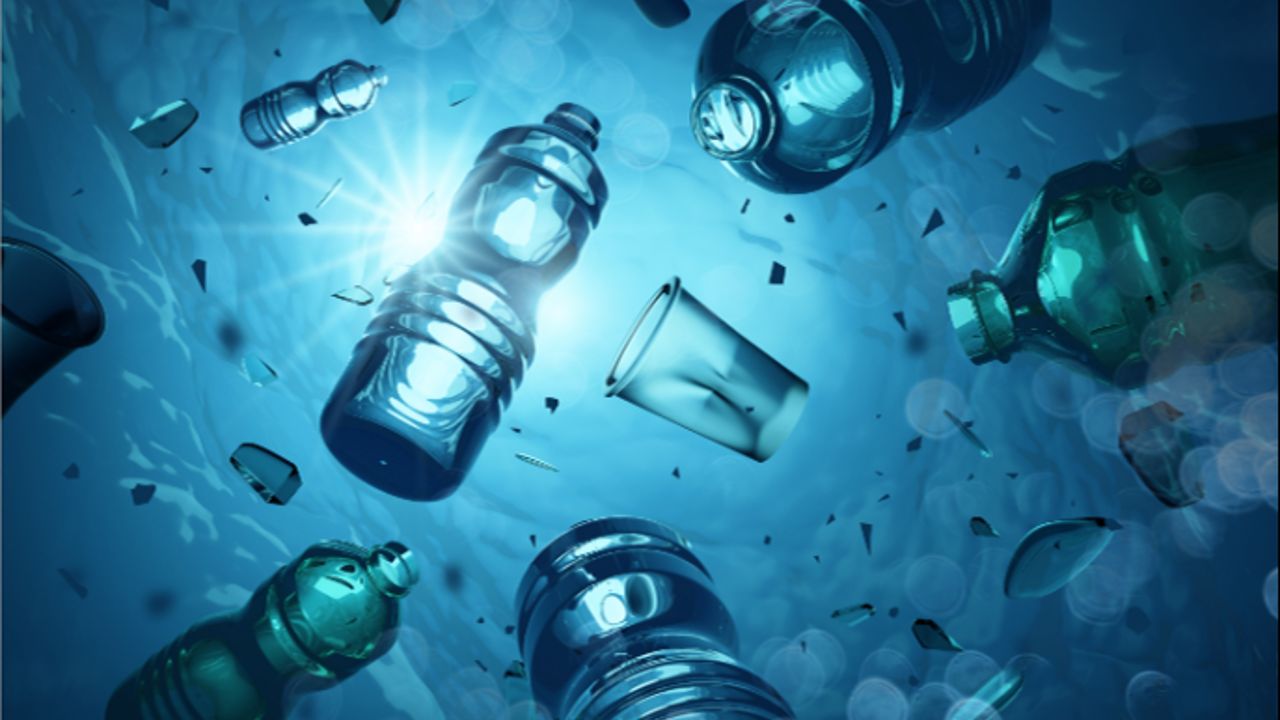 Yediğimiz balıklar zehir olabilir! Uzmanlar uyardı: Deniz canlıları bunları besin olarak algılıyor - 1. Resim