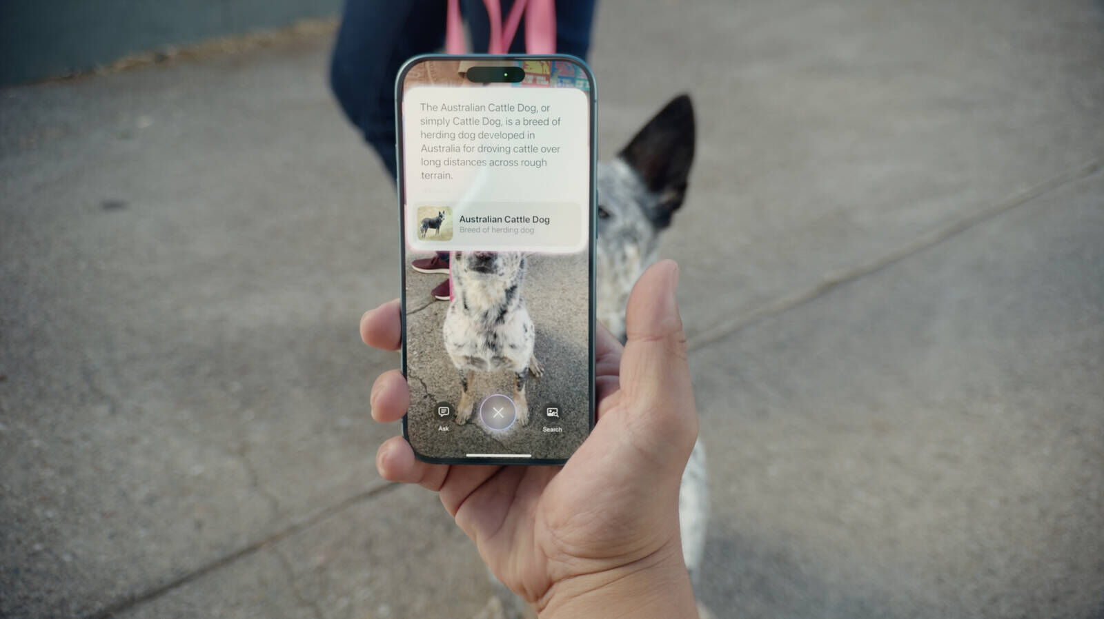 Yeni iPhone 16 kaç TL olacak? Dünyanın gözü Apple 