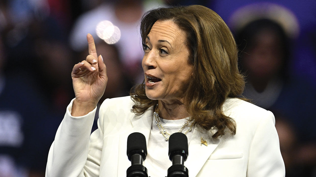 ABD'deki başkanlık seçimi öncesi 7 kritik eyalette Trump ve Kamala Harris arasındaki fark gündem oldu - 5. Resim