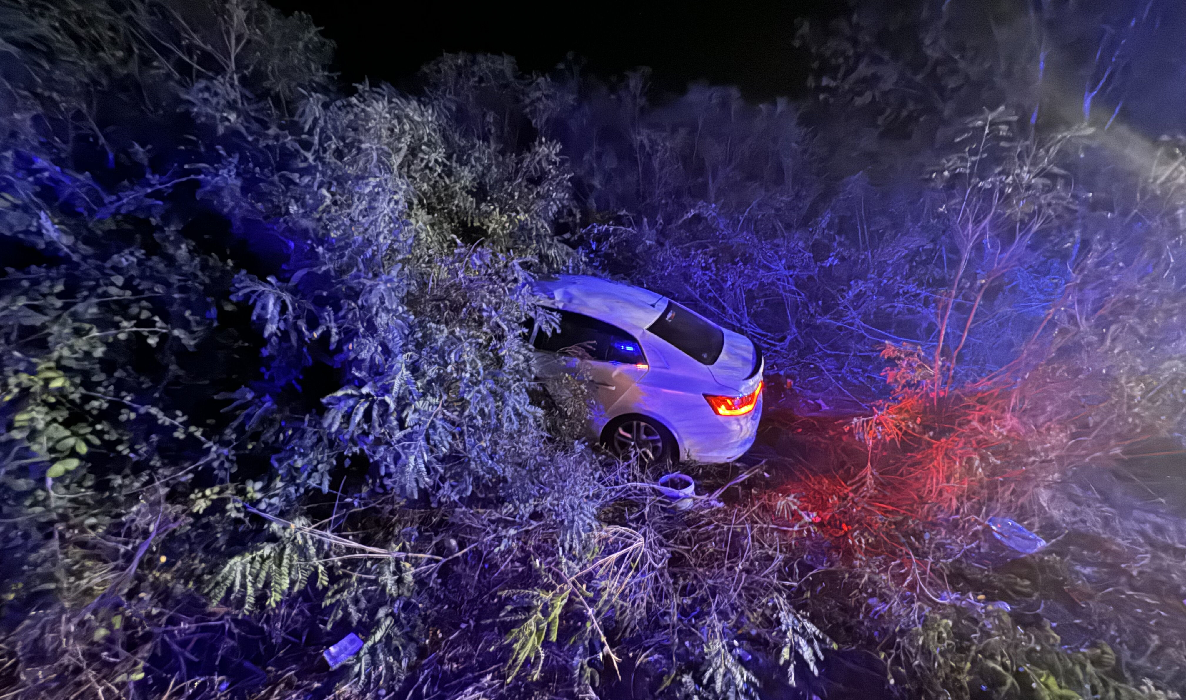 Anadolu Otoyolu'nda zincirleme kaza! Çok sayıda yaralı var Anadolu Otoyolu'nda zincirleme kaza! Çok sayıda yaralı var - 1. Resim